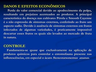 DANOS E EFEITOS ECONÔMICOS
Perda do valor comercial devido ao apodrecimento da polpa,
resultando em prejuízos acentuados ao produtor. A principal
característica da doença nas cultivares Pérola e Smooth Cayenne
é a não expressão de sintomas externos, conferindo ao fruto um
aspecto sadio. Devido à ausência de sintomas externos em frutos
infectados de algumas variedades, é praticamente impossível
descartar esses frutos os quais são levados ao mercado de fruta
in natura.
CONTROLE
Fundamenta-se quase que exclusivamente na aplicação de
produtos químicos para controlar a entomofauna presente nas
inflorescências, em especial o ácaro Steneotarsonemus ananas.
 