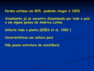 Perdas estimas em 80% podendo chegar à 100%
Atualmente já se encontra disseminada por todo o país
e em alguns países da América Latina
Infecta toda a planta (GÓES et al, 1983 )
Características em cultura pura
Não possui estrutura de resistência
 