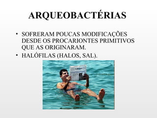 ARQUEOBACTÉRIAS
• SOFRERAM POUCAS MODIFICAÇÕES
  DESDE OS PROCARIONTES PRIMITIVOS
  QUE AS ORIGINARAM.
• HALÓFILAS (HALOS, SAL).
 