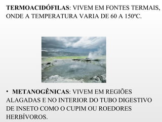 TERMOACIDÓFILAS: VIVEM EM FONTES TERMAIS,
ONDE A TEMPERATURA VARIA DE 60 A 150ºC.




• METANOGÊNICAS: VIVEM EM REGIÕES
ALAGADAS E NO INTERIOR DO TUBO DIGESTIVO
DE INSETO COMO O CUPIM OU ROEDORES
HERBÍVOROS.
 