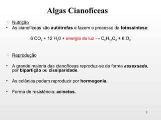 Algas Cianofíceas
 Nutrição
• As cianofíceas são autótrofas e fazem o processo da fotossíntese:

            6 CO2 + 12 H20 + energia da luz → C6H12O6 + 6 O2


 Reprodução

•   A grande maioria das cianofíceas reproduz-se de forma assexuada,
    por bipartição ou cissiparidade.

•   As colônias podem reproduzir por hormogonia.

•   Forma de resistência: acinetos.



                                                                  3
 