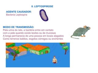 8. LEPTOSPIROSE
AGENTE CAUSADOR:
Bacteria Leptospira
MODO DE TRANSMISSÃO:
Pela urina do rato, a bactéria entre em contato
com a pele quando existe lesões ou de mucosas
A longa permanecia de uma pessoa em locais alagados
Como terrenos baldios, esgotos córregos ou enchentes
 