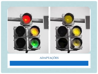ADAPTAÇÕES
 