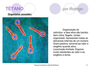 TÉTANO   por Rodrigo Doenças Causadas por Agentes Biológicos Organização do indivíduo: a fase ativa são bacilos. Sem cílios, flagelo, núcleo organizado. Apresentam todas as estruturas internas de um monera. Gram-positiva, sensível ao calor e oxigênio quando ativa. Locomoção limitada. Esporos muito resistentes ao calor e ao oxigênio e duros. Organismo causador: 