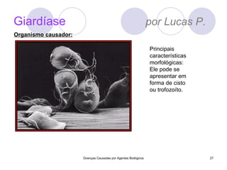 Giardíase   por Lucas P. Doenças Causadas por Agentes Biológicos Principais características morfológicas: Ele pode se apresentar em forma de cisto ou trofozoíto.  Organismo causador: 