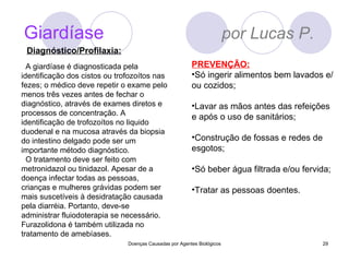 Giardíase   por Lucas P. Doenças Causadas por Agentes Biológicos Diagnóstico/Profilaxia: A giardíase é diagnosticada pela identificação dos cistos ou trofozoítos nas fezes; o médico deve repetir o exame pelo menos três vezes antes de fechar o diagnóstico, através de exames diretos e processos de concentração. A identificação de trofozoítos no liquido duodenal e na mucosa através da biopsia do intestino delgado pode ser um importante método diagnóstico. O tratamento deve ser feito com metronidazol ou tinidazol. Apesar de a doença infectar todas as pessoas, crianças e mulheres grávidas podem ser mais suscetíveis à desidratação causada pela diarréia. Portanto, deve-se administrar fluiodoterapia se necessário. Furazolidona é também utilizada no tratamento de amebíases. PREVENÇÃO: Só ingerir alimentos bem lavados e/ou cozidos;  Lavar as mãos antes das refeições e após o uso de sanitários;  Construção de fossas e redes de esgotos;  Só beber água filtrada e/ou fervida;  Tratar as pessoas doentes.  