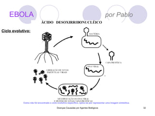 EBOLA   por Pablo Doenças Causadas por Agentes Biológicos Como não foi encontrado o ciclo evolutivo específico, optou-se por representar uma imagem simbólica.  Ciclo evolutivo: 