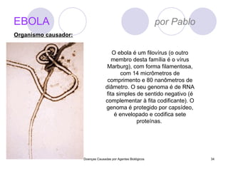 EBOLA   por Pablo Doenças Causadas por Agentes Biológicos O ebola é um filovírus (o outro membro desta família é o vírus Marburg), com forma filamentosa, com 14 micrômetros de comprimento e 80 nanômetros de diâmetro. O seu genoma é de RNA fita simples de sentido negativo (é complementar à fita codificante). O genoma é protegido por capsídeo, é envelopado e codifica sete proteínas.  Organismo causador: 