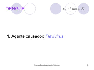 DENGUE  por Lucas S. 1.  Agente causador:  Flavivírus Doenças Causadas por Agentes Biológicos 