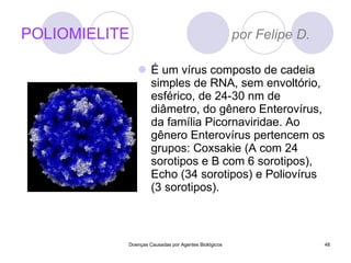 POLIOMIELITE  por Felipe D. É um vírus composto de cadeia simples de RNA, sem envoltório, esférico, de 24-30 nm de diâmetro, do gênero Enterovírus, da família Picornaviridae. Ao gênero Enterovírus pertencem os grupos: Coxsakie (A com 24 sorotipos e B com 6 sorotipos), Echo (34 sorotipos) e Poliovírus (3 sorotipos). Doenças Causadas por Agentes Biológicos 