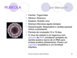 RUBÉOLA  por Marcus V.  Família: Togaviridae Gênero:  Rubivirus Espécie:  Rubella virus Doença infecciosa aguda benigna Disseminação: Respiratória e contato pessoal intimo e persistente. Período de incubação:12 a 19 dias. O vírus da rubéola é um togavírus com  genoma  de  RNA  unicatenar (simples) de sentido positivo (serve de m RNA para síntese protéica diretamente). Possui um  capsídeo  icosaédrico e um envelope bilipídico. Doenças Causadas por Agentes Biológicos 