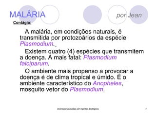 MALÁRIA  por Jean A malária, em condições naturais, é transmitida por protozoários da espécie  Plasmodium .   Existem quatro (4) espécies que transmitem a doença. A mais fatal:  Plasmodium   falciparum . O ambiente mais propenso a provocar a doença é de clima tropical e úmido. É o ambiente característico do  Anopheles , mosquito vetor do  Plasmodium .  Doenças Causadas por Agentes Biológicos Contágio: 