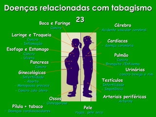 Cardíacas - doença coronária Urinárias -  cancro bexiga e rim Esofago e Estomago Cancro Úlcera Pancreas -  Cancro Pulmão Cancro Bronquite /Enfisema Cérebro -  Acidente vascular cerebral Laringe e Traqueia Cancro Inflamação Arteriais periféricas -  Arterite Boca e Faringe -  Cancro Testículos Infertilidade Impotência Ginecológicas Infertilidade Aborto  Menopausa precoce Cancro colo útero   Ossos - Osteoporose Pele -  rugas, pele seca Doenças relacionadas com tabagismo Pílula   + tabaco - Doenças cardiovasculares 23 
