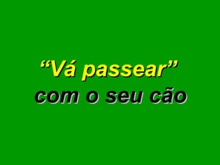 “ Vá passear”   com o seu cão 