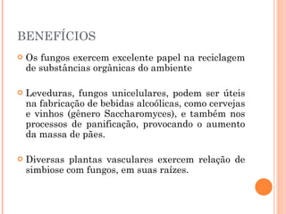 BENEFÍCIOS Os fungos exercem excelente papel na reciclagem de substâncias orgânicas do ambiente  Leveduras, fungos unicelulares, podem ser úteis na fabricação de bebidas alcoólicas, como cervejas e vinhos (gênero Saccharomyces), e também nos processos de panificação, provocando o aumento da massa de pães.  Diversas plantas vasculares exercem relação de simbiose com fungos, em suas raízes.  