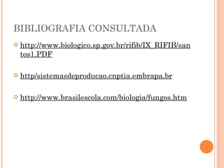 BIBLIOGRAFIA CONSULTADA http://www.biologico.sp.gov.br/rifib/IX_RIFIB/santos1.PDF http/sistemasdeproducao.cnptia.embrapa.br http://www.brasilescola.com/biologia/fungos.htm 