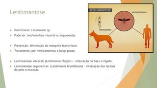 Leishmaniose
 Protozoário: Leishmania sp.
 Pode ser: leishmaniose visceral ou tegumentar.
 Prevenção: eliminação do mosquito transmissor.
 Tratamento: por medicamentos a longo prazo.
 Leishmaniose visceral: (Leishmania chagasi) – infestação no baço e fígado.
 Leishmaniose tegumentar: (Leishmania braziliensis) – infestação dos tecidos
da pele e mucosas.
 