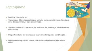 Leptospirose
 Bactéria: Leptospira sp.
 Transmissão: Diferentes espécies de animais, como exemplo: ratos. Através da
urina desses animais, e água contaminada.
 Sintomas: Febre alta, mal-estar, dor muscular, dor de cabeça, olhos vermelhos
entre outros.
 Diagnóstico: Feito por exames que isolam a bactéria para a identificação.
 Normalmente regride em ou dias, mas se não diagnosticada pode levar a
óbito.
 