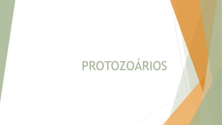 PROTOZOÁRIOS
 