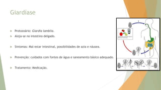 Giardíase
 Protozoário: Giardia lamblia.
 Aloja-se no intestino delgado.
 Sintomas: Mal-estar intestinal, possibilidades de azia e náusea.
 Prevenção: cuidados com fontes de água e saneamento básico adequado.
 Tratamento: Medicação.
 