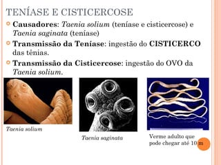 TENÍASE E CISTICERCOSE
Causadores: Taenia solium (teníase e cisticercose) e
Taenia saginata (teníase)
 Transmissão da Teníase: ingestão do CISTICERCO
das tênias.
 Transmissão da Cisticercose: ingestão do OVO da
Taenia solium.


Taenia solium
Taenia saginata

Verme adulto que
pode chegar até 10 m

 