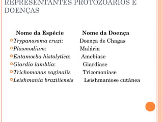 REPRESENTANTES PROTOZOÁRIOS E
DOENÇAS
Nome da Espécie
Trypanosoma cruzi:
Plasmodium:
Entamoeba histolytica:
Giardia lamblia:
Trichomonas vaginalis
Leishmania braziliensis

Nome da Doença
Doença de Chagas
Malária
Amebíase
Giardíase
Tricomoníase
Leishmaniose cutânea

 