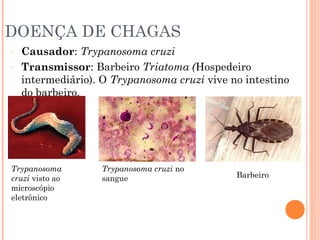 DOENÇA DE CHAGAS
-

Causador: Trypanosoma cruzi
Transmissor: Barbeiro Triatoma (Hospedeiro
intermediário). O Trypanosoma cruzi vive no intestino
do barbeiro.

Trypanosoma
cruzi visto ao
microscópio
eletrônico

Trypanosoma cruzi no
sangue

Barbeiro

 
