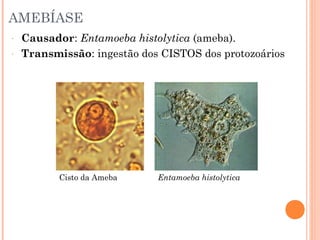 AMEBÍASE
-

Causador: Entamoeba histolytica (ameba).
Transmissão: ingestão dos CISTOS dos protozoários

Cisto da Ameba

Entamoeba histolytica

 