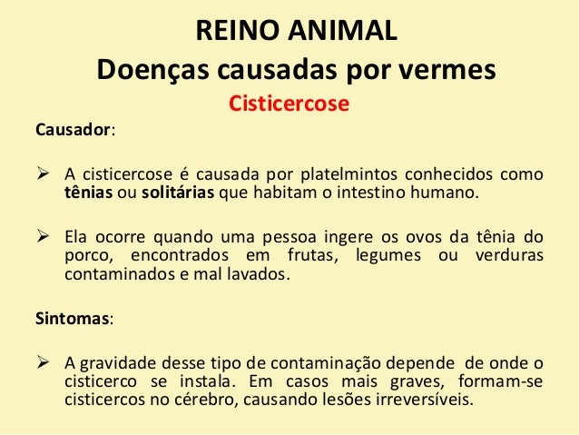 Como aprender sobre vermes em um gatinho