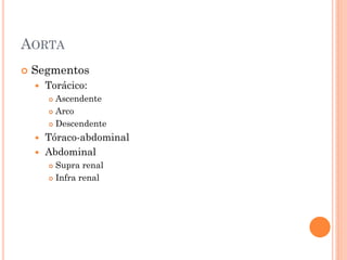 AORTA
   Segmentos
       Torácico:
         Ascendente
         Arco

         Descendente

     Tóraco-abdominal
     Abdominal
         Supra renal
         Infra renal
 