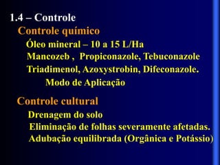 1.4 – Controle
Controle químico
Óleo mineral – 10 a 15 L/Ha
Mancozeb , Propiconazole, Tebuconazole
Triadimenol, Azoxystrobin, Difeconazole.
Modo de Aplicação
Controle cultural
Drenagem do solo
Eliminação de folhas severamente afetadas.
Adubação equilibrada (Orgânica e Potássio)
 