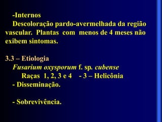 -Internos
Descoloração pardo-avermelhada da região
vascular. Plantas com menos de 4 meses não
exibem sintomas.
3.3 – Etiologia
Fusarium oxysporum f. sp. cubense
Raças 1, 2, 3 e 4 - 3 – Helicônia
- Disseminação.
- Sobrevivência.
 