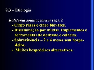 2.3 – Etiologia
Ralstonia solanacearum raça 2
- Cinco raças e cinco biovares.
- Disseminação por mudas. Implementos e
ferramentas de desbaste e colheita.
- Sobrevivência – 2 a 4 meses sem hospe-
deiro.
- Muitos hospedeiros alternativos.
 