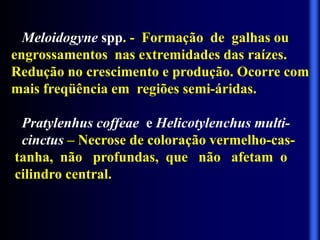 Meloidogyne spp. - Formação de galhas ou
engrossamentos nas extremidades das raízes.
Redução no crescimento e produção. Ocorre com
mais freqüência em regiões semi-áridas.
Pratylenhus coffeae e Helicotylenchus multi-
cinctus – Necrose de coloração vermelho-cas-
tanha, não profundas, que não afetam o
cilindro central.
 