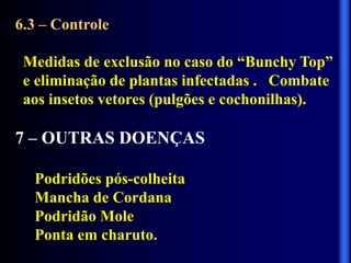 6.3 – Controle
Medidas de exclusão no caso do “Bunchy Top”
e eliminação de plantas infectadas . Combate
aos insetos vetores (pulgões e cochonilhas).
7 – OUTRAS DOENÇAS
Podridões pós-colheita
Mancha de Cordana
Podridão Mole
Ponta em charuto.
 