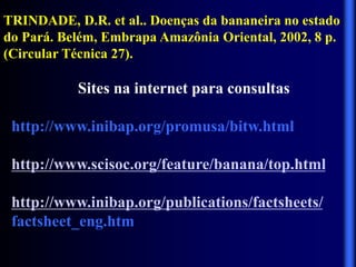 TRINDADE, D.R. et al.. Doenças da bananeira no estado
do Pará. Belém, Embrapa Amazônia Oriental, 2002, 8 p.
(Circular Técnica 27).
Sites na internet para consultas
http://www.inibap.org/promusa/bitw.html
http://www.scisoc.org/feature/banana/top.html
http://www.inibap.org/publications/factsheets/
factsheet_eng.htm
 