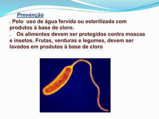 Prevenção
 Pelo uso de água fervida ou esterilizada com
produtos à base de cloro.
 Os alimentos devem ser protegidos contra moscas
e insetos. Frutas, verduras e legumes, devem ser
lavados em produtos à base de cloro
 