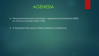 AGENESIA
 Frequentemente está associada a agenesia renal ipsilateral (80%)
ou outras anomalias renais (12%)
 A hipoplasia não possui critérios definidos na literatura.
 
