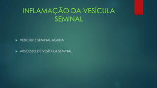 INFLAMAÇÃO DA VESÍCULA
SEMINAL
 VESICULITE SEMINAL AGUDA
 ABSCESSO DE VESÍCULA SEMINAL
 