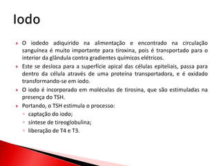    O iodedo adiquirido na alimentação e encontrado na circulação
    sanguínea é muito importante para tiroxina, pois é transportado para o
    interior da glândula contra gradientes químicos elétricos.
   Este se desloca para a superfície apical das células epiteliais, passa para
    dentro da célula através de uma proteína transportadora, e é oxidado
    transformando-se em iodo.
   O iodo é incorporado em moléculas de tirosina, que são estimuladas na
    presença do TSH.
   Portando, o TSH estimula o processo:
    ◦ captação do iodo;
    ◦ síntese de tireoglobulina;
    ◦ liberação de T4 e T3.
 