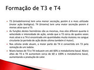    T3 (triiodotironina) tem uma menor secreção, porém é o mais utilizado
    (maior ação biológica). T4 (tiroxina) tem uma maior secreção porem é
    menos ativo que o T3.
   As funções destes hormônios são as mesmas, mas eles diferem quanto à
    velocidade e intensidade de ação, sendo que o T3 cerca de quatro vezes
    mais ativo e o T4 é encontrado em quantidades muito maiores no sangue
    circulante (o período de ação deste ultimo também é maior).
   Nas células onde atuam, a maior parte do T4 é convertida em T3 pela
    remoção de um iodeto.
   Níveis baixos de T3 e T4 reduzem em até 60% o metabolismo basal. Níveis
    altos de T3 e T4 aumentam cerca de 60 a 100% o metabolismo basal,
    aumentando a produção de calor.
 