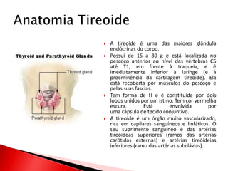    A tireoide é uma das maiores glândula
    endócrinas do corpo.
   Possui de 15 a 30 g e está localizada no
    pescoço anterior ao nível das vértebras C5
    até T1, em frente à traqueia, e é
    imediatamente inferior à laringe (e à
    proeminência da cartilagem tireoide). Ela
    está recoberta por músculos do pescoço e
    pelas suas fascias.
   Tem forma de H e é constituída por dois
    lobos unidos por um istmo. Tem cor vermelha
    escura.        Está       envolvida        por
    uma cápsula de tecido conjuntivo.
   A tireoide é um órgão muito vascularizado,
    rica em capilares sanguíneos e linfáticos. O
    seu suprimento sanguíneo é das artérias
    tireóideas superiores (ramos das artérias
    carótidas externas) e artérias tireóideias
    inferiores (ramo das artérias subclávias).
 