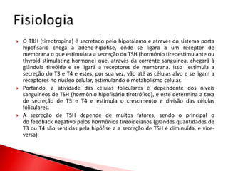    O TRH (tireotropina) é secretado pelo hipotálamo e através do sistema porta
    hipofisário chega a adeno-hipófise, onde se ligara a um receptor de
    membrana o que estimulara a secreção do TSH (hormônio tireoestimulante ou
    thyroid stimulating hormone) que, através da corrente sanguínea, chegará à
    glândula tireóide e se ligará a receptores de membrana. Isso estimula a
    secreção do T3 e T4 e estes, por sua vez, vão até as células alvo e se ligam a
    receptores no núcleo celular, estimulando o metabolismo celular.
   Portando, a atividade das células foliculares é dependente dos níveis
    sanguíneos de TSH (hormônio hipofisário tirotrófico), e este determina a taxa
    de secreção de T3 e T4 e estimula o crescimento e divisão das células
    foliculares.
   A secreção de TSH depende de muitos fatores, sendo o principal o
    do feedback negativo pelos hormônios tireoideianos (grandes quantidades de
    T3 ou T4 são sentidas pela hipófise a a secreção de TSH é diminuída, e vice-
    versa).
 
