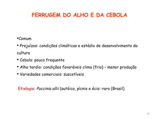 23
FERRUGEM DO ALHO E DA CEBOLA
Comum
 Prejuízos: condições climáticas e estádio de desenvolvimento da
cultura
 Cebola: pouco frequente
 Alho tardio: condições favoráveis clima (frio) – menor produção
 Variedades comerciais: suscetíveis

Etiologia: Puccinia allii (autóica, pícnio e écio: raro (Brasil)
 