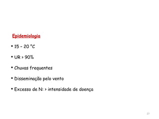 27
Epidemiologia
 15 – 20 °C
 UR > 90%
 Chuvas frequentes
 Disseminação pelo vento
 Excesso de N: > intensidade de doença
 