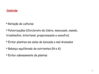 28
Controle
 Rotação de culturas
 Pulverizações (Oxicloreto de Cobre, mancozeb, maneb,
triadimefon, bitertanol, propiconazole e enxofre)
 Evitar plantios em solos de baixada e mal drenados
 Balanço equilibrado de nutrientes (N e K)
 Evitar adensamento de plantas
 