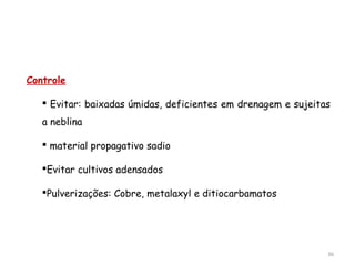 Controle
 Evitar: baixadas úmidas, deficientes em drenagem e sujeitas
a neblina
 material propagativo sadio
Evitar cultivos adensados
Pulverizações: Cobre, metalaxyl e ditiocarbamatos
36
 