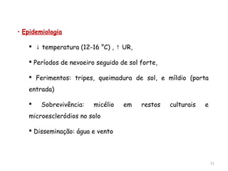 • Epidemiologia
 ↓ temperatura (12-16 °C) , UR,↑
 Períodos de nevoeiro seguido de sol forte,
 Ferimentos: tripes, queimadura de sol, e míldio (porta
entrada)
 Sobrevivência: micélio em restos culturais e
microescleródios no solo
 Disseminação: água e vento
51
 