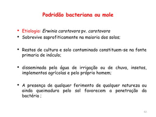 Podridão bacteriana ou mole
 Etiologia: Erwinia carotovora pv. carotovora
 Sobrevive saprofiticamente na maioria dos solos;
 Restos de cultura e solo contaminado constituem-se na fonte
primaria de inóculo;
 disseminada pela água de irrigação ou de chuva, insetos,
implementos agrícolas e pelo próprio homem;
 A presença de qualquer ferimento de qualquer natureza ou
ainda queimadura pelo sol favorecem a penetração da
bactéria ;
62
 
