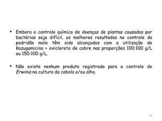  Embora o controle químico de doenças de plantas causados por
bactérias seja difícil, os melhores resultados no controle da
podridão mole têm sido alcançados com a utilização de
Kazugamicina + oxicloreto de cobre nas proporções 100:100 g/L
ou 150:100 g/L.
 Não existe nenhum produto registrado para o controle de
Erwinia na cultura da cebola e/ou alho.
68
 